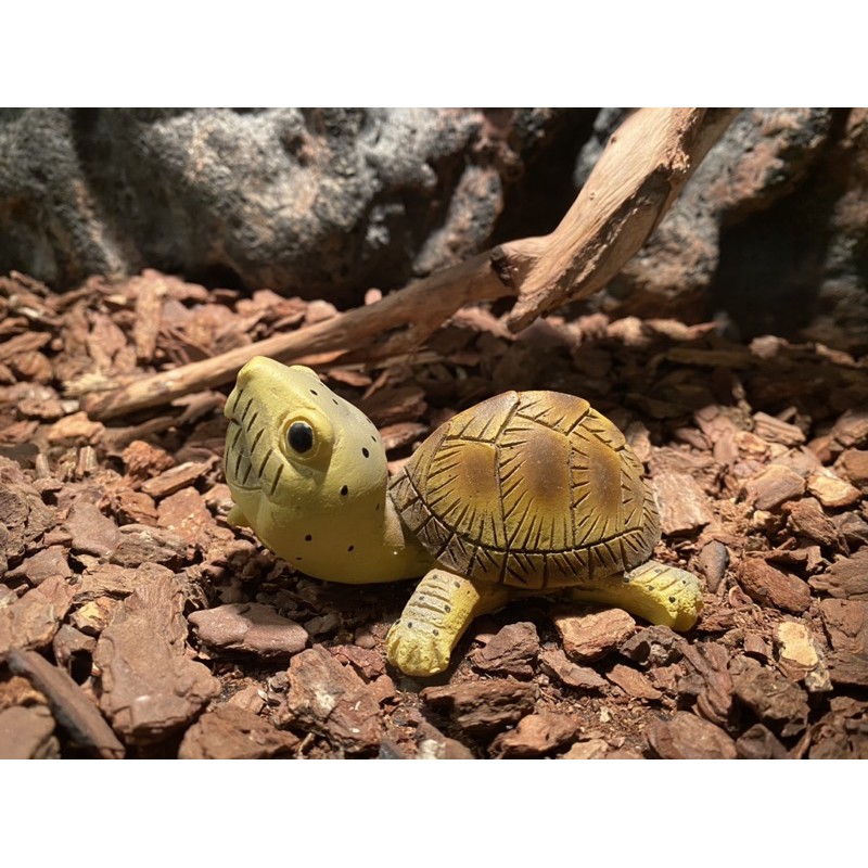 Rùa nhựa trang trí bể bò sát, thú cưng. Trang trí bài biện nhà cửa gia đình - Vietpetgarden