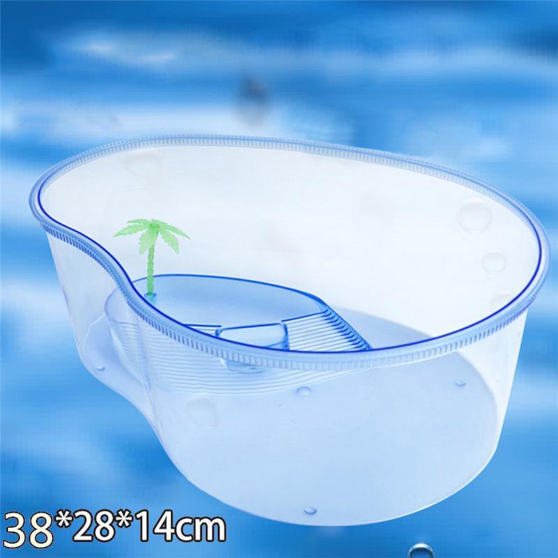 Bể rùa cảnh mini chất lượng