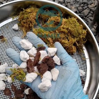 Đá Bọt Pumice Trồng Cây, Hoa Kiểng (1kg)