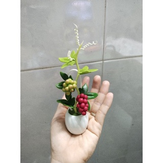 Combo 3 chậu hoa mini cao 14cm đến 15cm