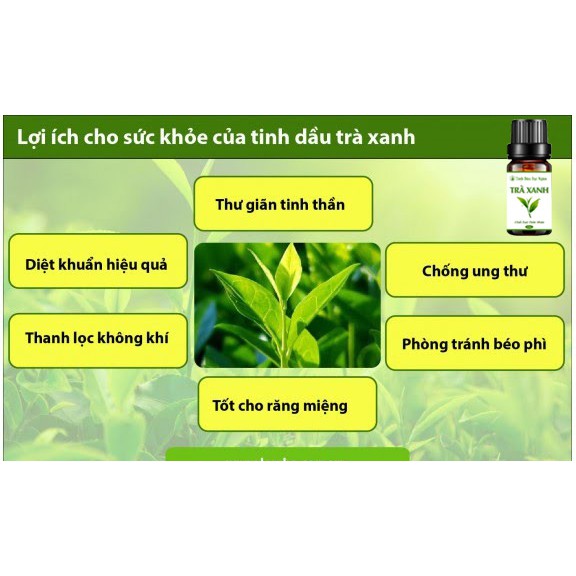 Tinh dầu trà xanh thơm phòng thiên nhiên 10ml