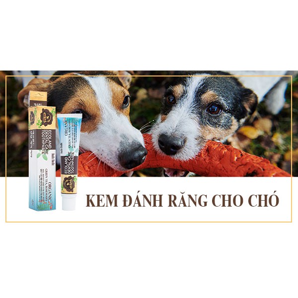 80g KEM ĐÁNH RĂNG CHO CHÓ MÈO có tác dụng hiệu quả  vệ sinh khoang miệng, kháng viêm và tăng cường sức khỏe răng miệng