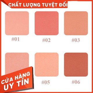Phấn Má Hồng Lameila Gốm Vitality Blush