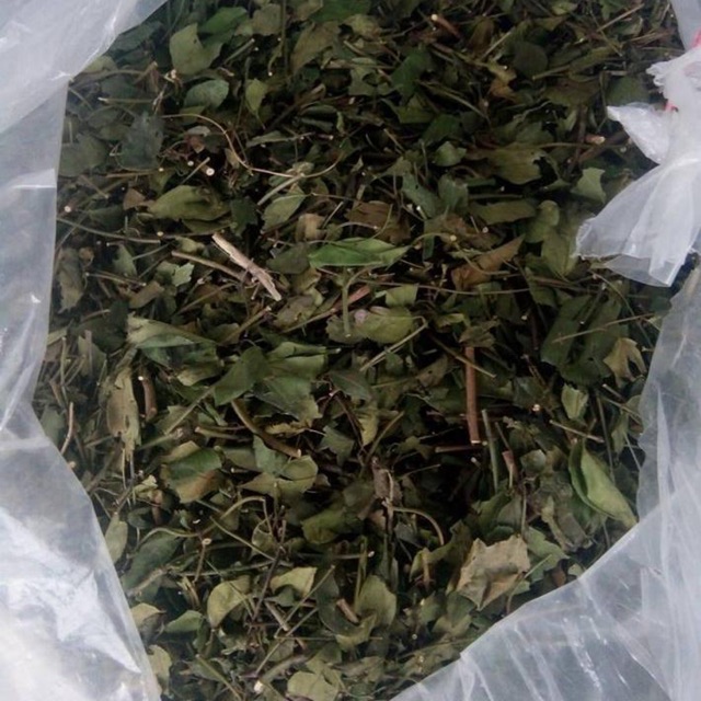 Chè Vằng Sẻ