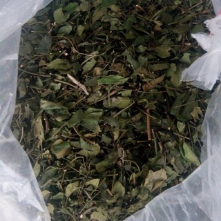 Chè vằng sẻ