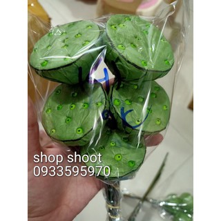GƯƠNG SEN GIẤY(1 cái)