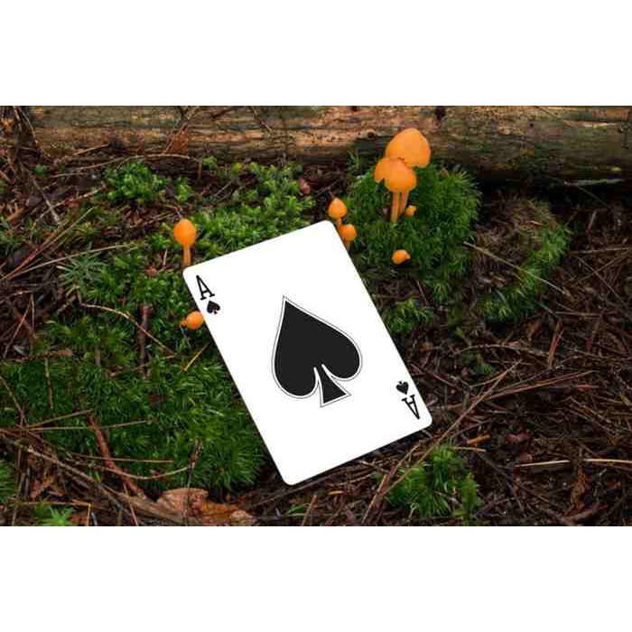 Bài ảo thuật : Leon Playing Cards