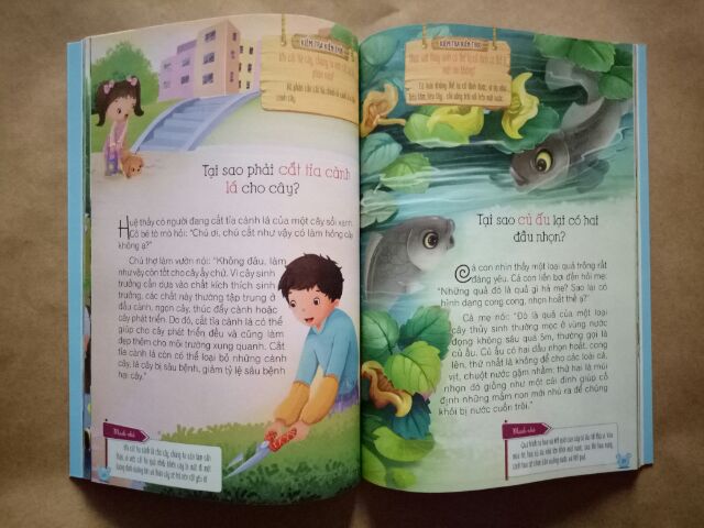 Sách - Hỏi gì cũng biết (Bí mật từ thực vật) - 39k | BigBuy360 - bigbuy360.vn