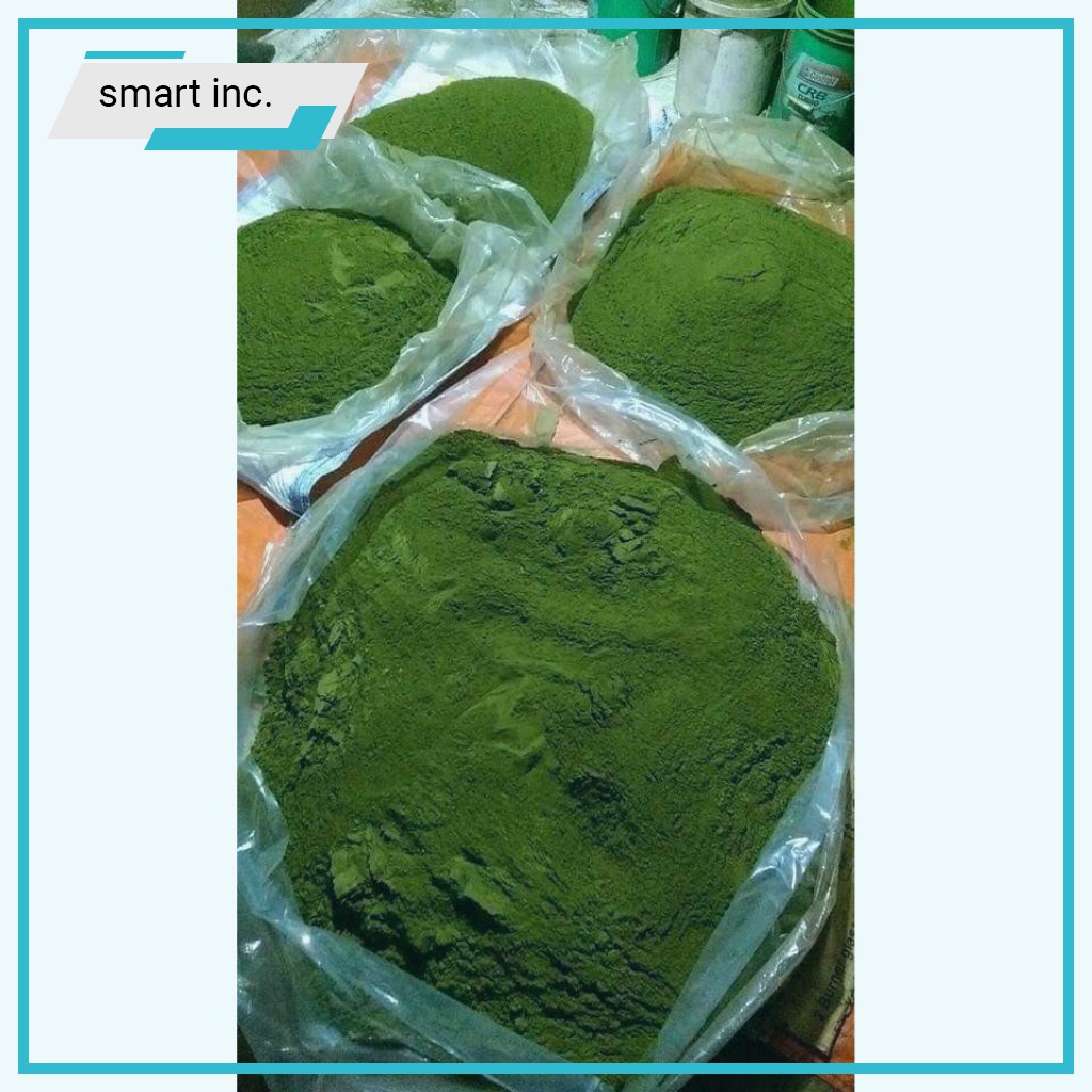 Bột Trà Xanh Thái Nguyên Thơm Xanh Nguyên Chất Matcha Làm Đẹp Giảm Cân Phụ Nữ Làm Bánh Kem Rau Câu Trà Sữa