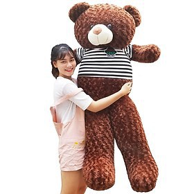 Gấu teddy 1m6 (kèm ảnh thật)