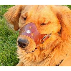 Rọ mỏ chó , mèo bằng da.