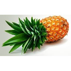 Tinh dầu treo xe , treo tủ đồ hương Dứa thơm | BigBuy360 - bigbuy360.vn