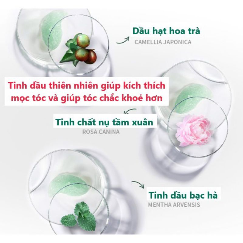 TẨY DA CHẾT TÓC DA ĐẦU NICOR MUỐI BIỂN SẠCH SÂU NGĂN NGỪA RỤNG TÓC 200G