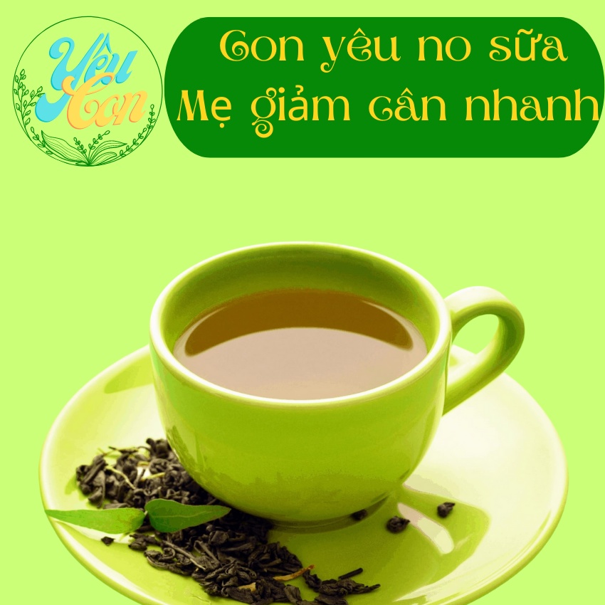 Combo 10 gói Chè Vằng Túi Lọc Chè Vằng Lợi Sữa Thanh Nhiệt Giải Độc Gan