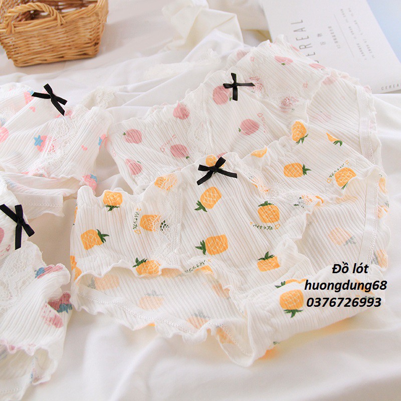 Quần Lót Nữ Cotton Trái Cây Xuất Nhật ( QL : 304 ) Hàng Loại Đẹp.