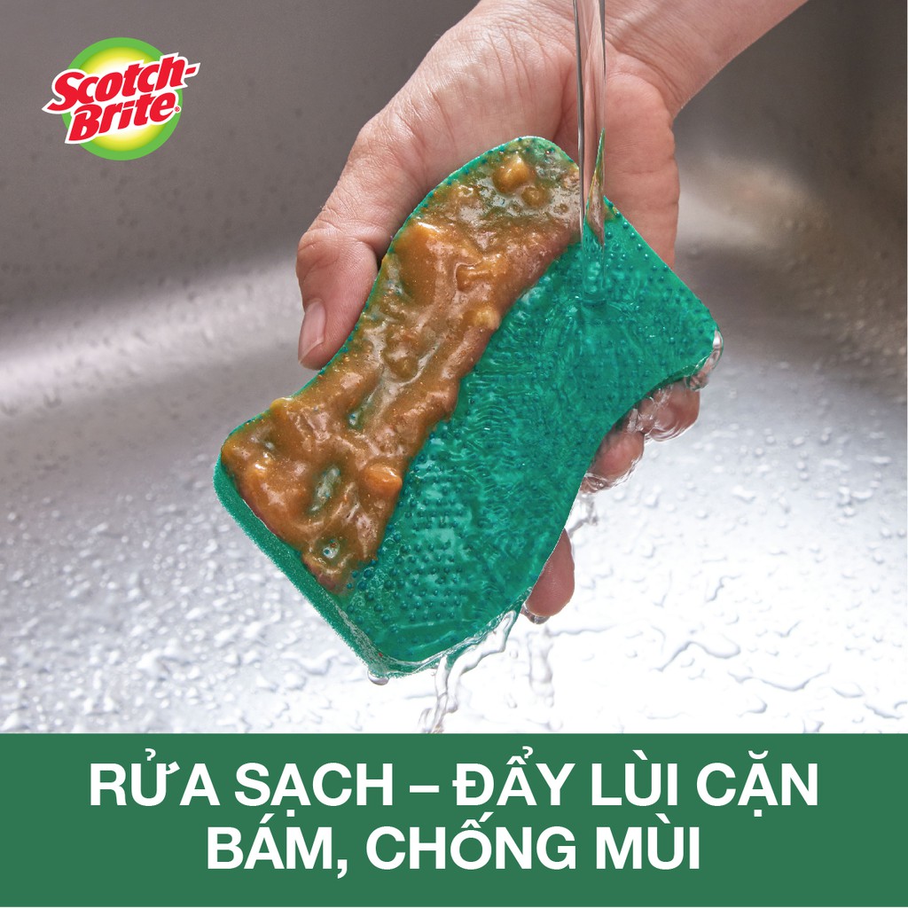Miếng Rửa Chén Hạt Nổi 3M Scotch Brite Không Trầy Xước-Mút Kháng Khuẩn,Không Bám Cặn Gây Mùi