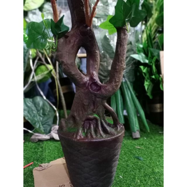 Cây hoa trà liền thân cao 1m6.Cây giả trang tri nhà cửa.Ko kèm chậu-Hoaluaminhhoa