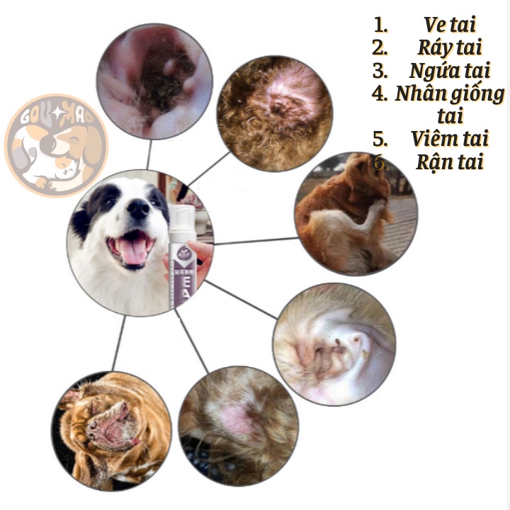[Chính hãng] BỌT LÀM SẠCH TAI NGĂN NGỪA VIÊM TAI SMOOT 200ML - GOUMAO PET