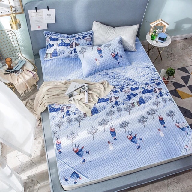 Chiếu điều hoà tencel (loại đẹp nhất thị trường)