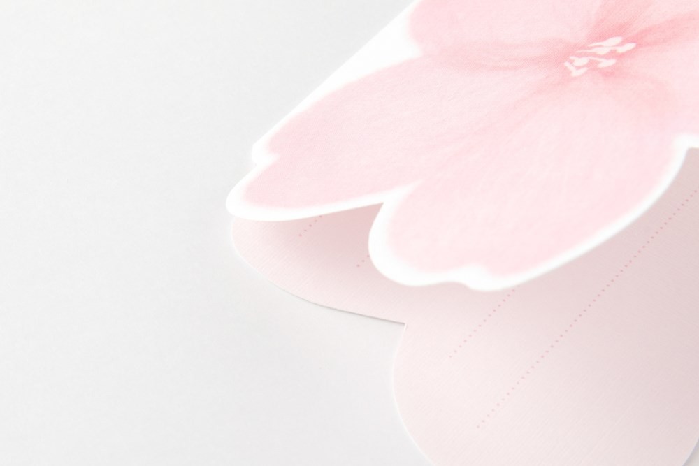 Thiệp ARTBOX Hàn Quốc Hình Hoa Anh Đào Xinh Xắn