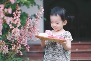 Váy đầm bé gái thô lụa 70-80-90