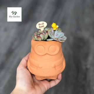 Chậu minion đất nung nhỏ trồng sen đá mini xương rồng Nia Garden N4