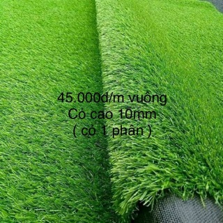 Cỏ thảm nhân tạo 10mm trải sân bóng sân vườn