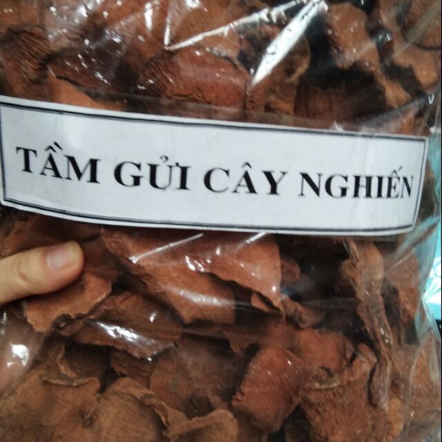 1kg cây tầm gửi nghiến