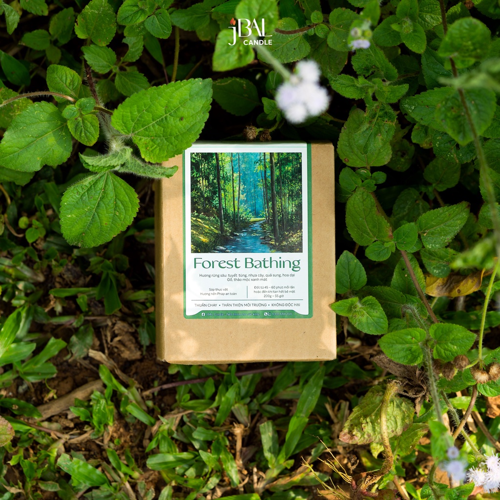 Forest Bathing - Nến thơm hương Rừng thư thái, mát mẻ