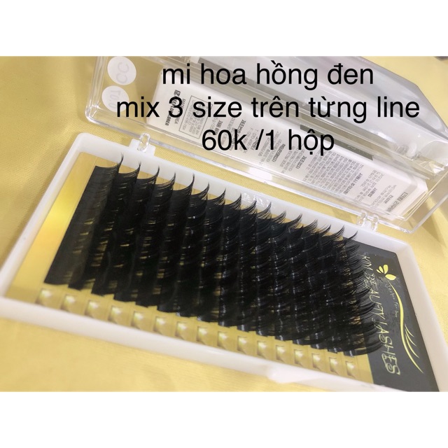 Mi hoa hồng đen - mi sole thái