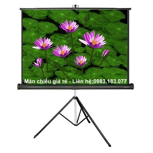 MÀN CHIẾU 3 CHÂN 120 INCH DALITE CHÍNH HÃNG