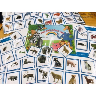 [HỌC LIỆU] - Bộ bóc dán Khám phá thế giới Động Vật