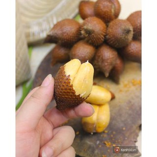 CÂY GIỐNG MÂY THÁI CHUA CHUA NGỌT NGỌT ĂN CỰC NGON,SIÊU QUẢ SIÊU NGON, SIÊU KINH TẾ