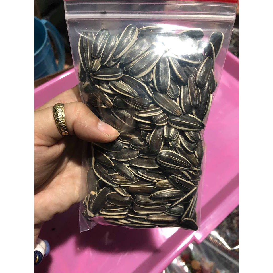 Hạt hướng dương lớn tươi ngon cho hamster ,sóc .