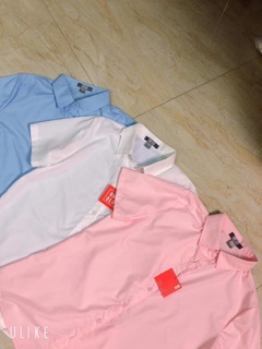 SƠ MI UNI CỘC TAY