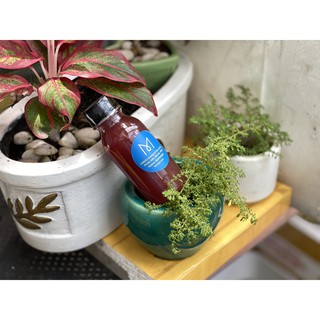 100ml Vi sinh quang hợp PSB - M