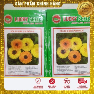 Hạt Giống Hoa Cúc Su Si Mix (50 hạt )