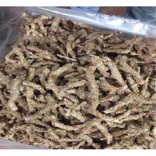 100g Rêu sâu Chile trồng lan - 100g rêu sâu