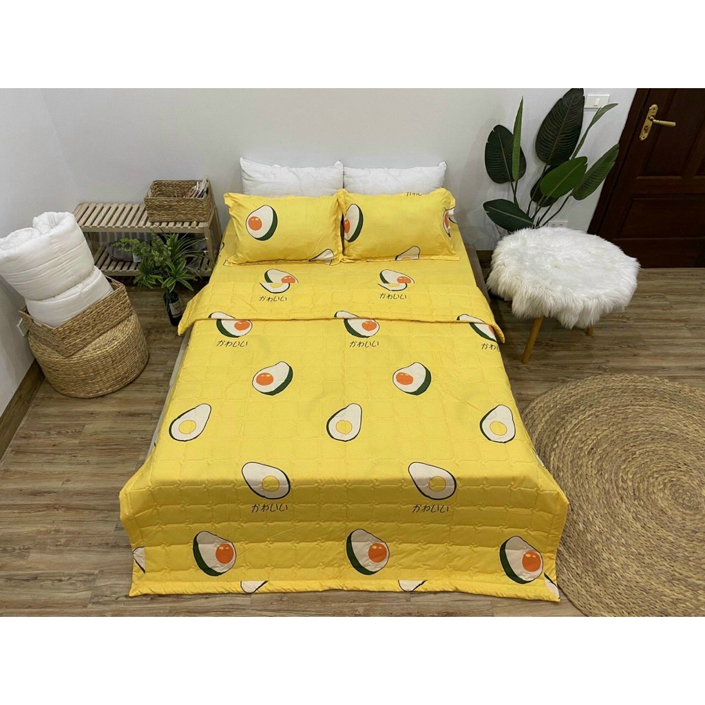 Bộ ga 3 món Hàn Quốc Cotton Poly (được chọn mẫu)