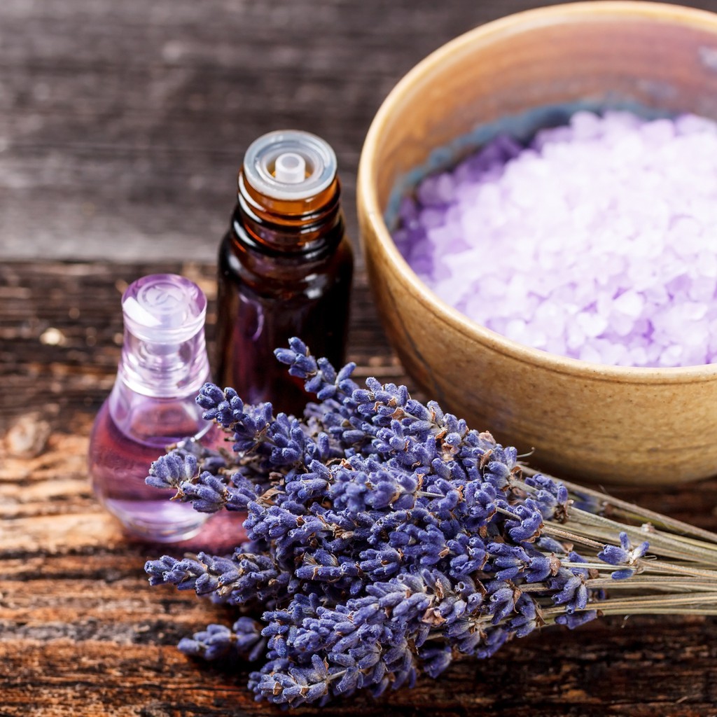 Tinh Dầu Oải Hương Thiên Nhiên thanh lọc không khí, kháng khuẩn, chống viêm Lavender Essential Oil AloAroma