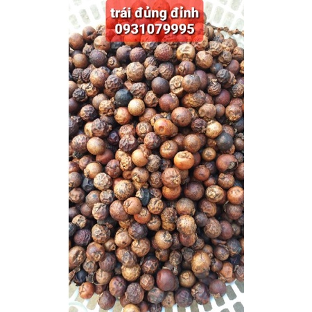 trái đủng đỉnh khô 1kg