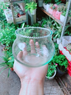 Chậu Trồng cây Hoặc Nuôi Cá