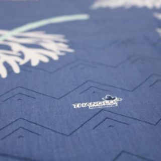 Drap Thắng Lợi