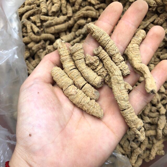 BA KÍCH RỪNG KHÔ NGÂM RƯỢU (400k/1 kg)