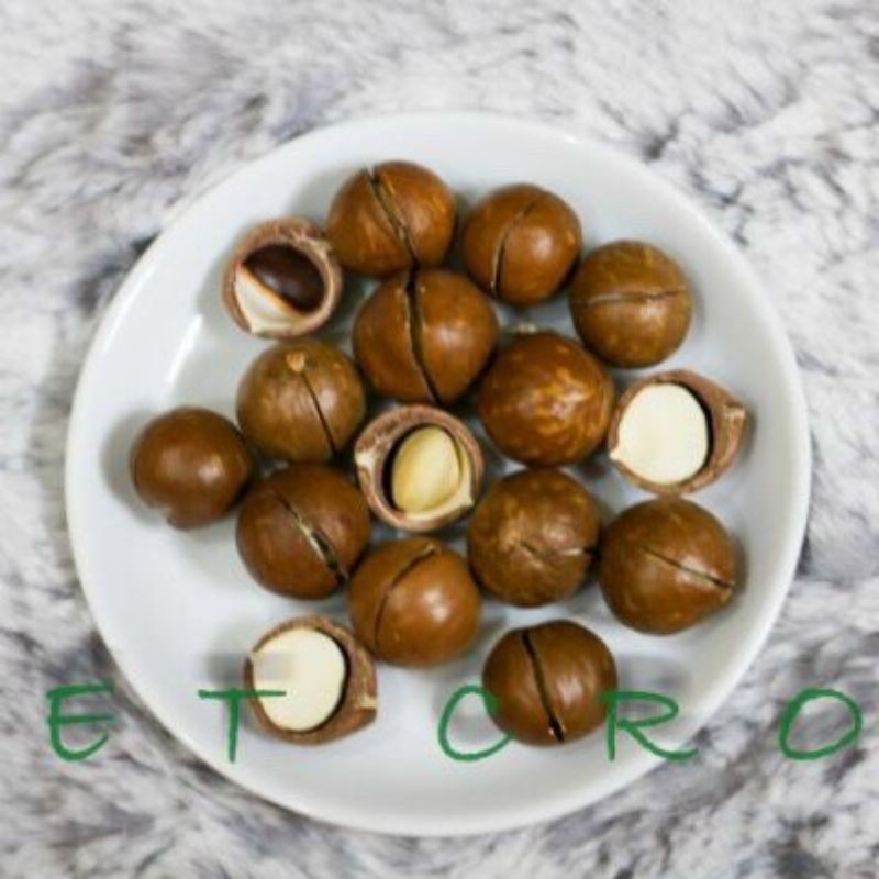 [Chính hiệu][Số 1] Hạt Macca sấy nứt vỏ theo bí quyết riêng đặc sản Lâm Đồng THƠM- NGON- GIÒN- BÙI TẾT 2021