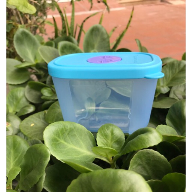 Tupperware - Hộp trữ đông mini freezermate 290ml