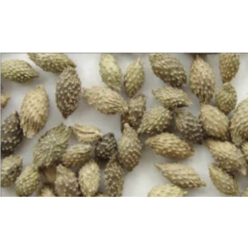 1Kg Quả ké đầu ngựa khô