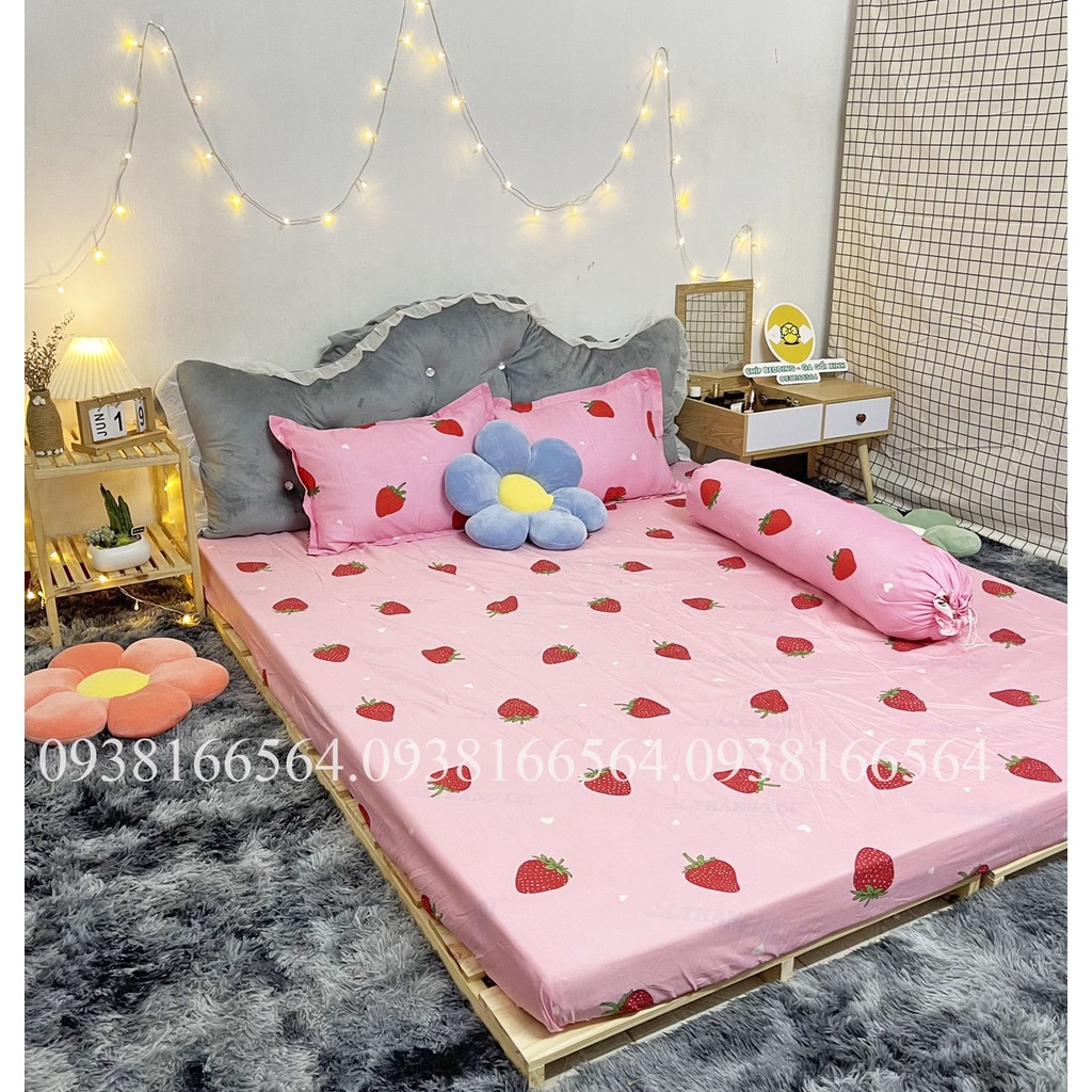 TRỌN BỘ COTTON POLY 5 MÓN CHĂN PHAO DÀY DẶN HÀNG VN HỌA TIẾT DÂU TÂY - ĐỦ KÍCH THƯỚC