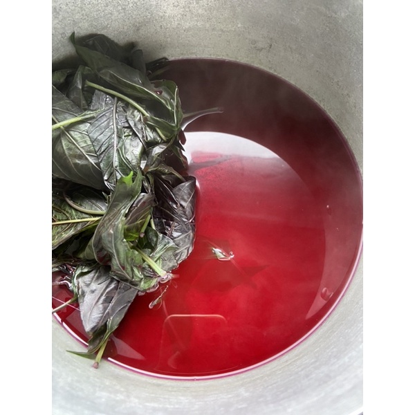 500gr lá cẩm tươi, cành già có thể giâm làm giống