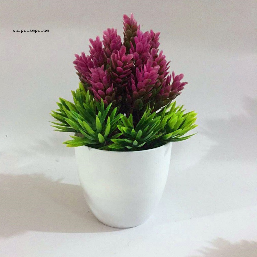 Chậu Cây Bonsai Giả Trang Trí Sân Vườn